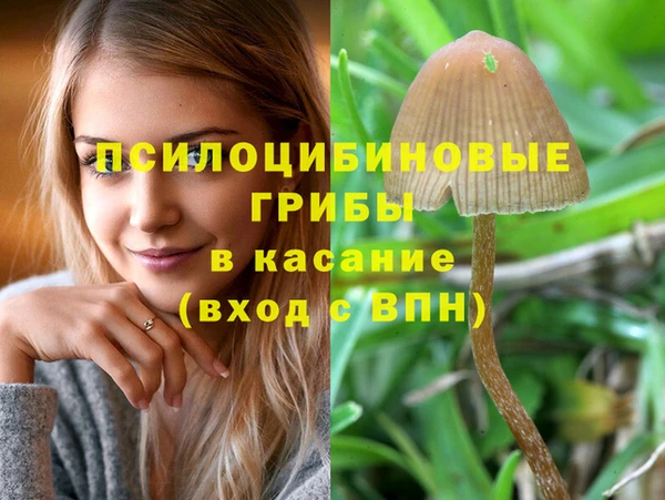 мдпв Покров