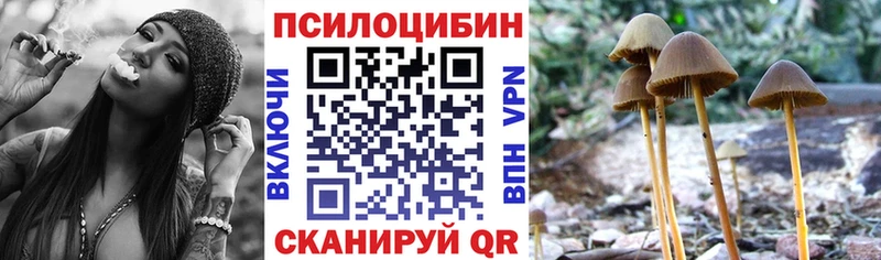 Галлюциногенные грибы Magic Shrooms Фокино
